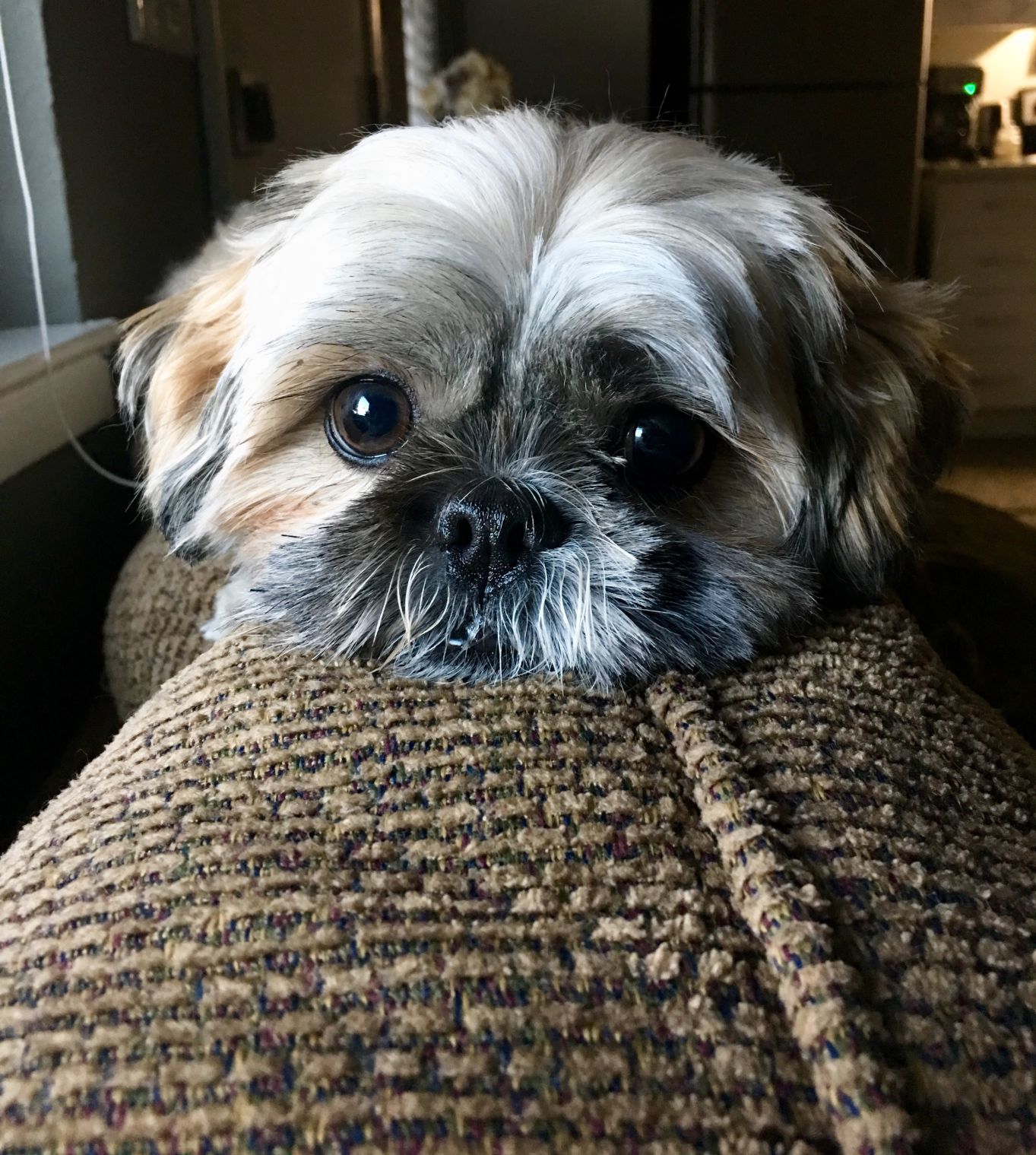 Minnie